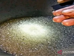 Fenomena Hujan Jelly di Gorontalo Utara, Ini Kata Ahli Meteorologi