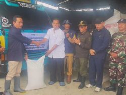 Kelompok Tani Dare Nandung Semparuk Gelar Launching Penyerapan Beras dan Gabah 2025