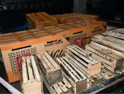 Barantin dan Ditpolair Baharkam Polri Gagalkan Penyelundupan 67 Satwa Liar di Pelabuhan Tanjung Priok