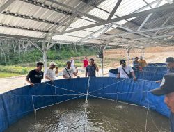 Polres Sekadau Dorong Ketahanan Pangan Lewat Budidaya Ikan di Dusun Senuruk
