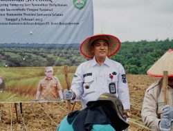 Pemprov Sumsel Gelar Penanaman Padi Gogo di Banyuasin, Dukungan Nyata Menuju Swasembada Pangan Nasional