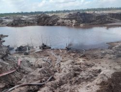 Dugaan PETI di Pelang Ketapang Garap 48 Hektar Lahan Hutan Desa