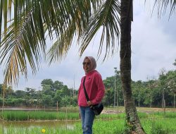 Membongkar Karut-Marut Pupuk Subsidi: Petani Terjepit, Mafia Berpesta
