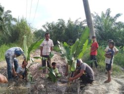 Fantastis, Diduga Usulan Program Titipan Penggunaan DD di Kota Subulussalam Mencuat
