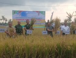 Panen Perbenihan Padi, Upaya Meningkatkan Kesejahteraan Petani di Lombok Timur