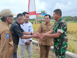 Dukung Ketahanan Pangan, Danrem 162 Wira Bhakti Lakukan Panen Padi