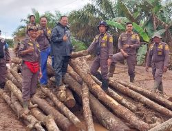 Solusi Musim Hujan: Penimbunan Diganti Meting, Satpol PP Ketapang Kawal Instruksi Bupati