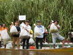 PT BAI Tebar 15.000 Benih Ikan Sungai, Wujud Nyata Komitmen Lingkungan di Mempawah