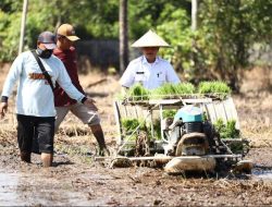 Kota Pontianak Ikuti Penanaman Padi Serentak Nasional, Dukung Swasembada Pangan