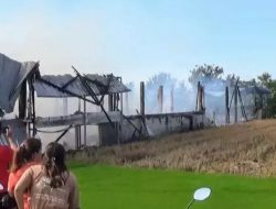 Kebakaran Hebat Landa Kandang Ayam di Magetan, 15.000 Ekor Mati Terpanggang