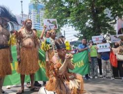 Proyek Strategis Nasional di Merauke Tuai Penolakan: Diduga Langgar HAM dan Rusak Wilayah Adat