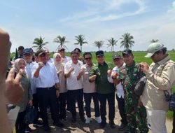 Bupati Banyuasin Terima Kunker Komisi IV DPR RI Di Tanjung Lago
