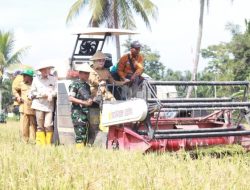Panen Raya Serentak, Banyuasin 3 Besar Penghasil Gabah Nasional Optimis Optimalkan Swasembada Pangan