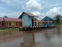 Progres Kasus Mega Proyek Food Estate Teluk Keluang Mandek: Dua Pejabat Dipanggil, Polres Ketapang Masih Bungkam