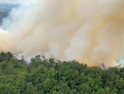 BPBD Kalbar Petakan 300 Titik Rawan Karhutla, Dua Kabupaten Tetapkan Status Siaga