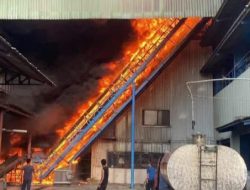 Kebakaran Hebat di PT Alas Kesuma, Petugas Damkar Bertahan Lama Padamkan Api