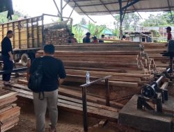 Polda Kalbar Amankan Ratusan Batang Kayu Ilegal di Melawi, Berawal dari Truk Tak Berdokumen di Sintang