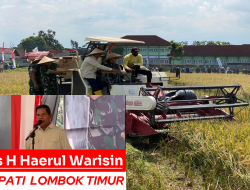 ‎Bupati Lombok Timur Ajak Petani Bersyukur, Meski Subsidi Pupuk Terbatas