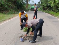 Hindari Kecelakaan, Polsek Kembayan Tambal Jalan Berlubang