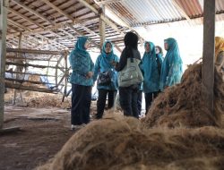 Ketua PKK Kabupaten Asahan Monitoring Lomba Hatinya PKK Tingkat Sumut di Desa Banjar
