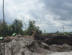 Ketapang Darurat Tambang Ilegal: APH Tak Berdaya, Pelaku Kian Nekat