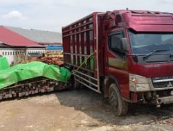Penegakan Hukum Setengah Hati: Ilegal Logging di Ketapang dan Jeritan Masyarakat Kecil