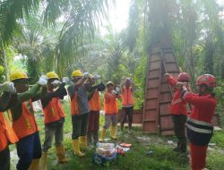 PLN Komitmen Laksanakan K3 Lewat Safety Briefing dan Gelar APD Serentak di Seluruh Proyek