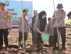 Polres Sanggau Tanam Jagung Hibrida Serentak Dukung Ketahanan Pangan Nasional