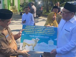 Pemprov Kalbar Serahkan 49 Ekor Sapi Kurban, Termasuk Sapi Presiden Prabowo untuk Kabupaten Melawi