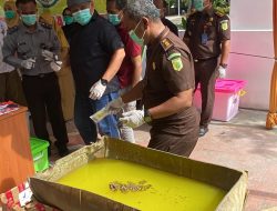 Kejari Pontianak Musnahkan Barang Bukti dari 101 Kasus, Termasuk Narkotika dan Senjata Tajam
