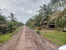Warga SP4 Sungai Mata-Mata Tagih Janji Listrik PLN, PLN Sukadana Janji Lakukan Survei Tahun Depan