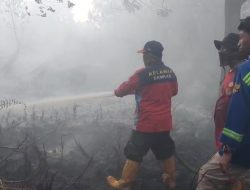 Karhutla Kembali Melanda Kubu Raya, BPBD dan Relawan Damkar Terus Lakukan Pemadaman di Punggur Kecil