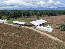 Presiden Prabowo Subianto Hadiri Panen Raya Jagung Serentak Kuartal II di Bengkayang