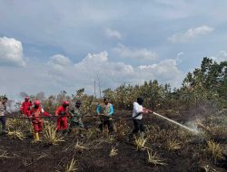 Karhutla Masih Landa Kubu Raya, Bupati Sujiwo Turun Langsung Padamkan Api di Desa Limbung