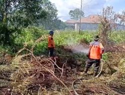 Minim Curah Hujan, Titik Api Muncul di Kubu Raya — BPBD Kalbar Intensifkan Pemadaman Karhutla
