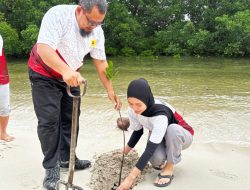 PLN Tanam 100 Mangrove di Pantai Walakiri: Aksi Nyata untuk Lingkungan Pesisir yang Berkelanjutan
