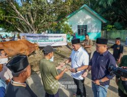 Laksanakan Qurban, Bupati Batu Bara Sembelih Sapi Limosin Dari Presiden RI