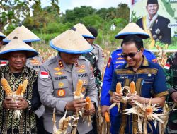 Irjen Rudi Darmoko Ajak Masyarakat Kembangkan Pertanian Jagung di NTT
