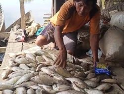 Ekosistem Sungai Lae Batu-batu Kota Subulussalam dalam Ancaman Serius dan Picu Risiko Stunting