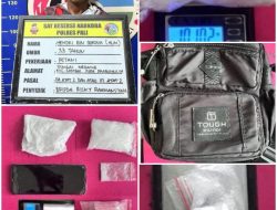 Gerebek Pondok Narkoba di Kebun Panta Dewa, 102 Gram Sabu Diamankan Polisi Dari Pria Asal Prabumulih