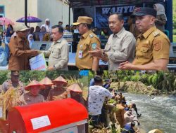 Bupati dan Wabup Kerinci Dampingi Gubernur Jambi Panen Raya Padi dan Ikan Semah