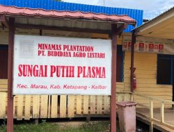 Ketua Kopbun SPS Marau Diduga Gelapkan Dana Anggota, ARUN Soroti Kejanggalan Pengelolaan Plasma Sawit