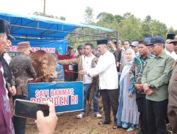 Bupati Kerinci Monadi Serahkan Bantuan Sapi Kurban dari Presiden Prabowo di Desa Sungai Gelampeh, Pastikan Pembagian Tepat Sasaran