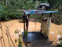 Perusahaan Tambang Diduga Cemari Sungai dan Lahan di Air Upas Ketapang, Warga Tuntut Keadilan dari PT CMI