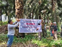 Anak Perusahaan Sinarmas Grup Disegel, Terbukti Garap Ribuan Hektare Hutan Lindung di Ketapang