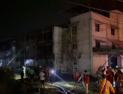 Kandang Ayam Permanen di Kubu Raya Ludes Terbakar, Ribuan Ayam Petelur Tak Terselamatkan
