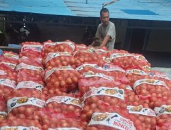 Bea Cukai Kalbagbar Gagalkan Penyelundupan 21 Ton Bawang Bombai Ilegal di Pelabuhan Dwikora