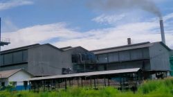 DLH Melawi Soroti Ketidaksesuaian Dokumen Lingkungan PT SIP, Desak Segera Ubah UKL-UPL Jadi AMDAL