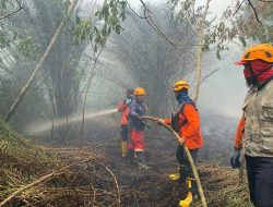 BMKG dan BPBD Peringatkan Waspada Karhutla di Kalbar, Puncak Risiko Terjadi Juli-September 2025