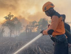 Status Karhutla di Kubu Raya Naik Jadi Tanggap Darurat, Pemerintah Intensifkan Modifikasi Cuaca